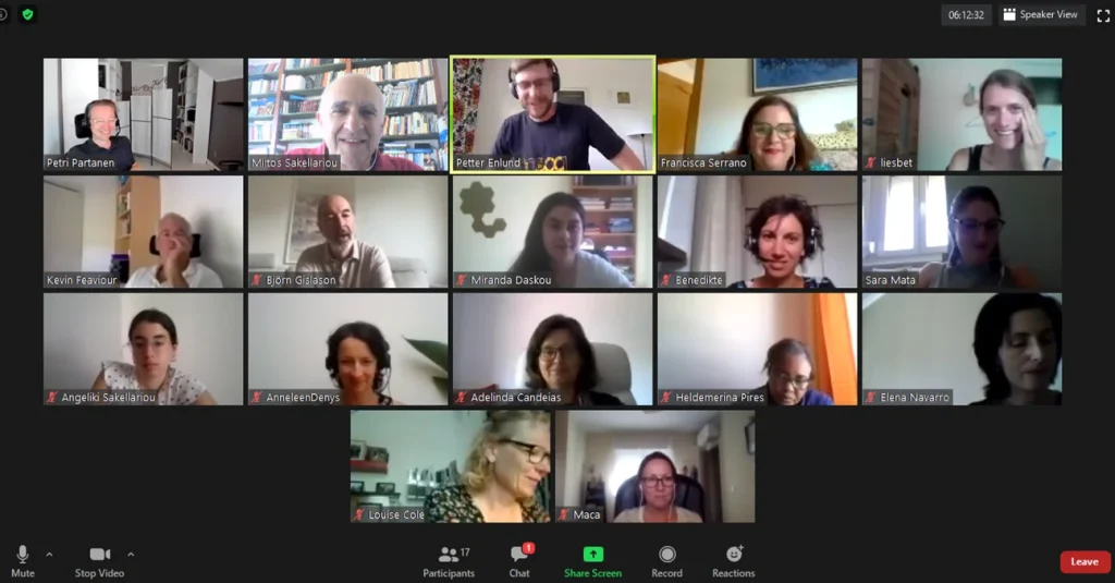 Screenshot of zoom meeting of the reflect project